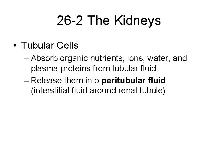 26 -2 The Kidneys • Tubular Cells – Absorb organic nutrients, ions, water, and