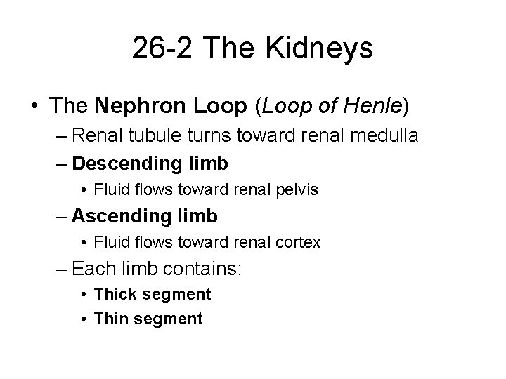 26 -2 The Kidneys • The Nephron Loop (Loop of Henle) – Renal tubule