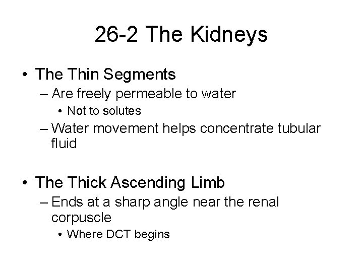 26 -2 The Kidneys • The Thin Segments – Are freely permeable to water