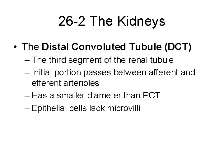 26 -2 The Kidneys • The Distal Convoluted Tubule (DCT) – The third segment