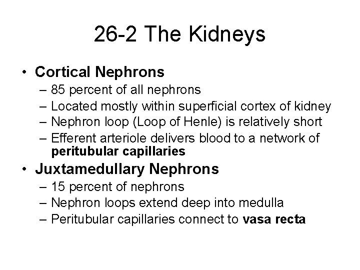26 -2 The Kidneys • Cortical Nephrons – 85 percent of all nephrons –