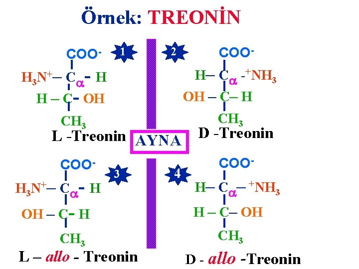 Örnek: TREONİN 1 COON+ H 3 2 COOH– C -+NH 3 – C -