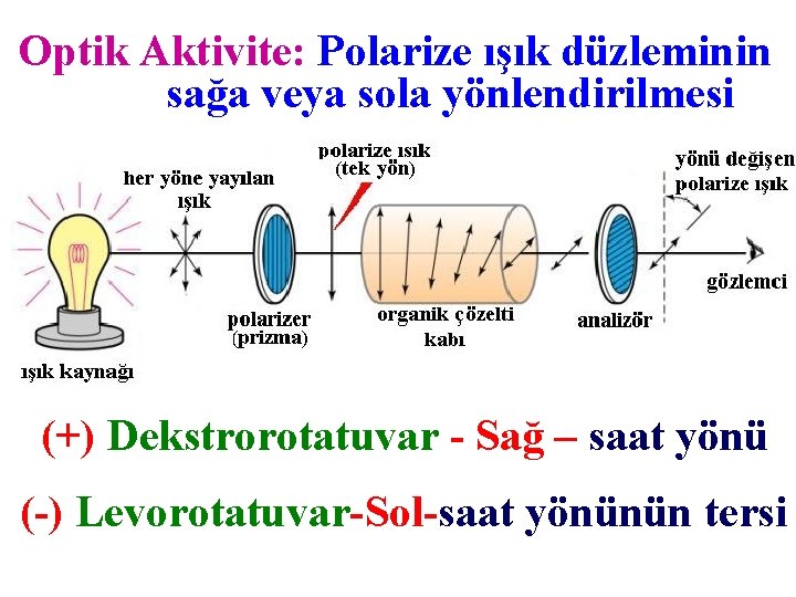 Optik Aktivite: Polarize ışık düzleminin sağa veya sola yönlendirilmesi (+) Dekstrorotatuvar - Sağ –