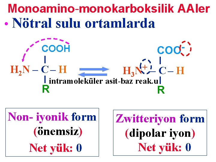 Monoamino-monokarboksilik AAler • Nötral sulu ortamlarda COOH H 2 N – C – H