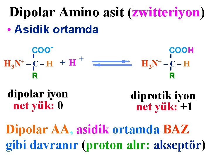 Dipolar Amino asit (zwitteriyon) • Asidik ortamda COO- H 3 N+ – C –