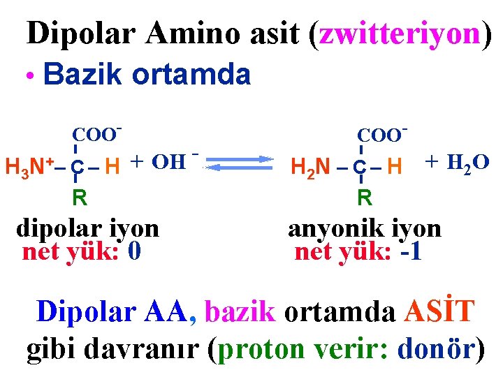 Dipolar Amino asit (zwitteriyon) • Bazik ortamda COO- H 3 N+ – C– H