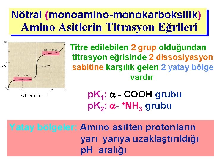 Nötral (monoamino-monokarboksilik) Amino Asitlerin Titrasyon Eğrileri Titre edilebilen 2 grup olduğundan titrasyon eğrisinde 2