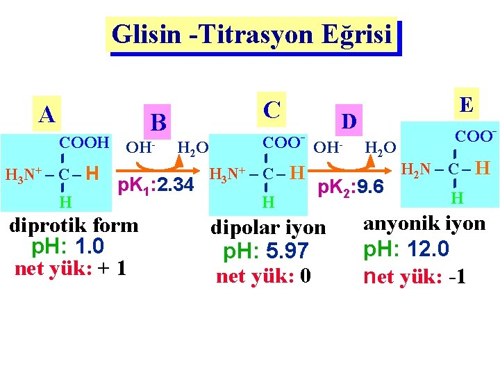 Glisin -Titrasyon Eğrisi A B COOH OH- H O 2 H 3 N+ –