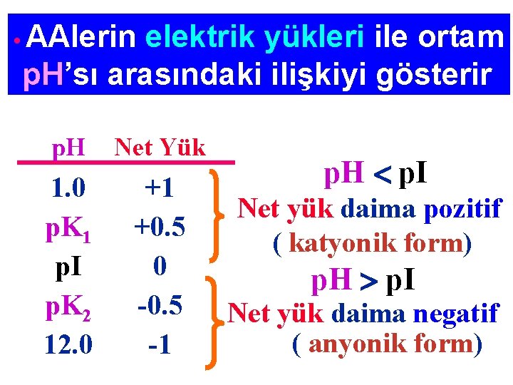  • AAlerin elektrik yükleri ile ortam p. H’sı arasındaki ilişkiyi gösterir p. H
