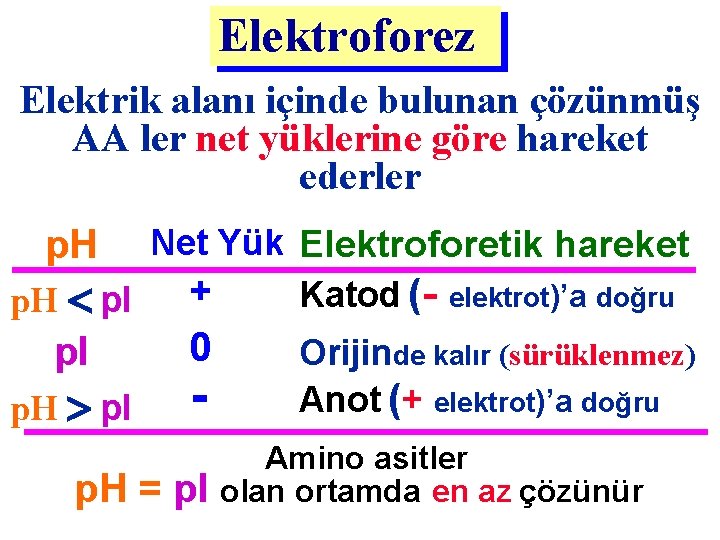 Elektroforez Elektrik alanı içinde bulunan çözünmüş AA ler net yüklerine göre hareket ederler Net