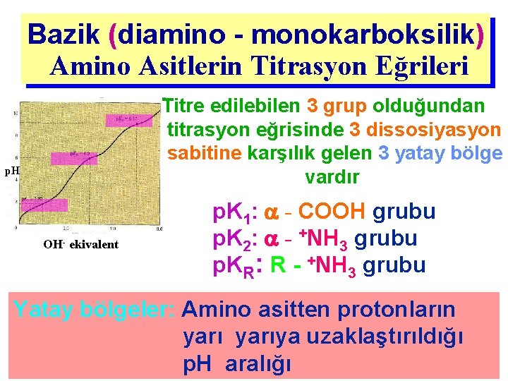 Bazik (diamino - monokarboksilik) Amino Asitlerin Titrasyon Eğrileri Titre edilebilen 3 grup olduğundan titrasyon