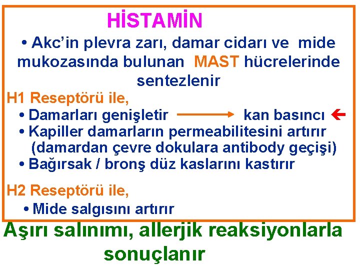  HİSTAMİN • Akc’in plevra zarı, damar cidarı ve mide mukozasında bulunan MAST hücrelerinde