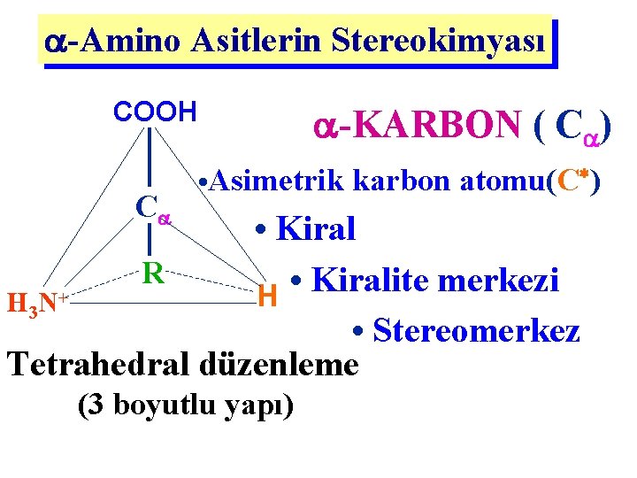  -Amino Asitlerin Stereokimyası COOH C -KARBON ( C ) ) • Asimetrik karbon