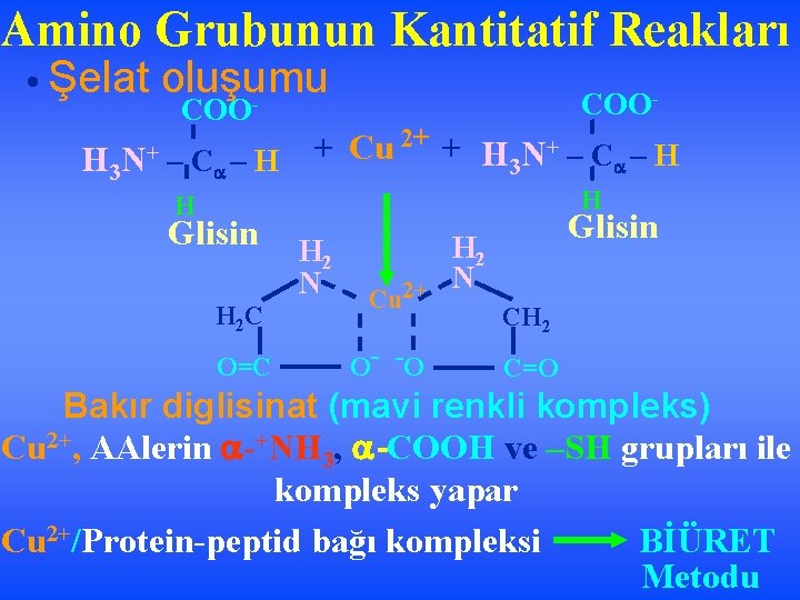 Amino Grubunun Kantitatif Reakları • Şelat oluşumu COO- + Cu 2+ + H 3