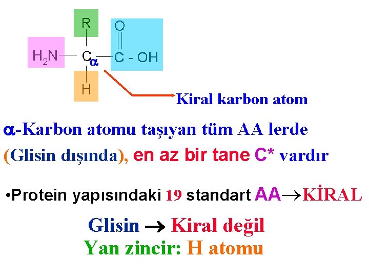  Kiral karbon atom -Karbon atomu taşıyan tüm AA lerde (Glisin dışında), en az