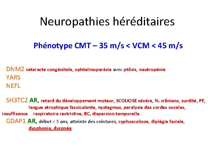 Neuropathies héréditaires Phénotype CMT – 35 m/s < VCM < 45 m/s DNM 2