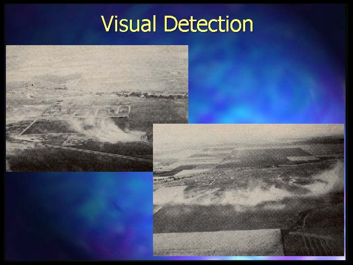 Visual Detection 