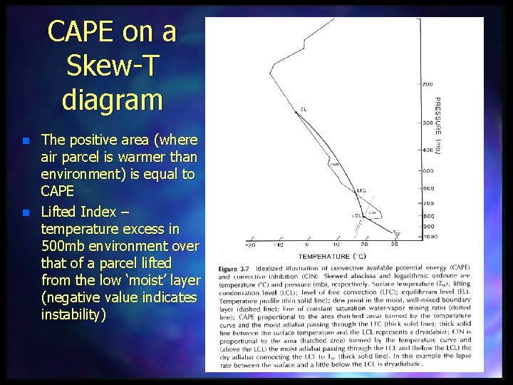 CAPE on a Skew-T diagram n n The positive area (where air parcel is