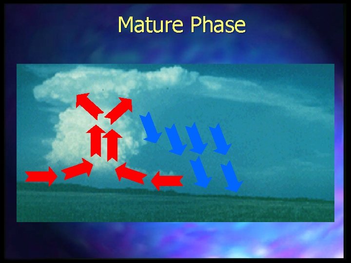 Mature Phase 