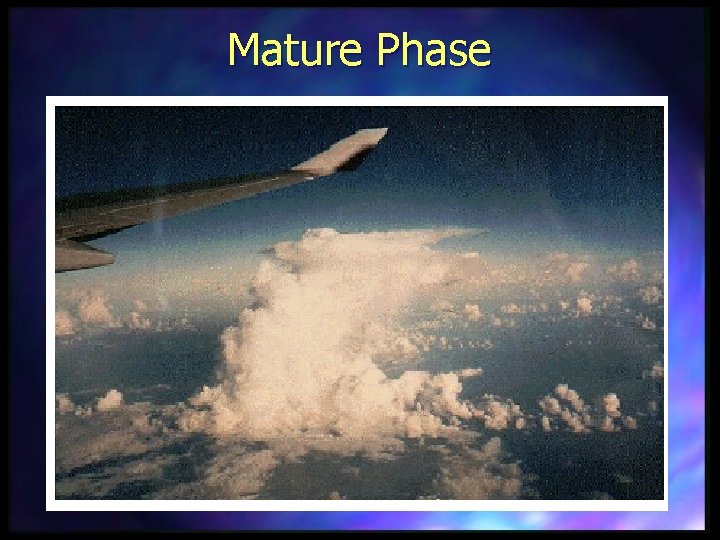 Mature Phase 