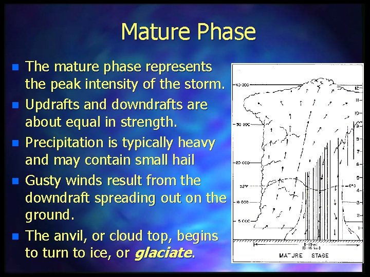 Mature Phase n n n The mature phase represents the peak intensity of the