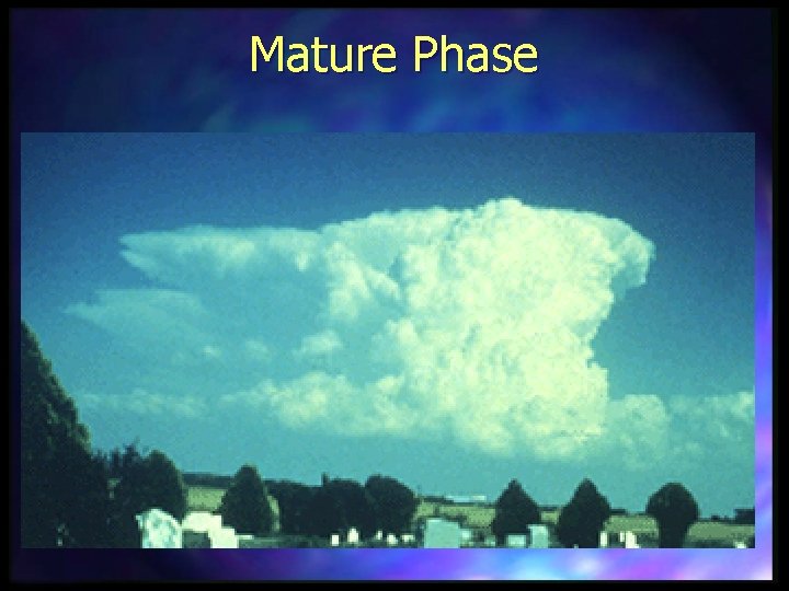 Mature Phase 