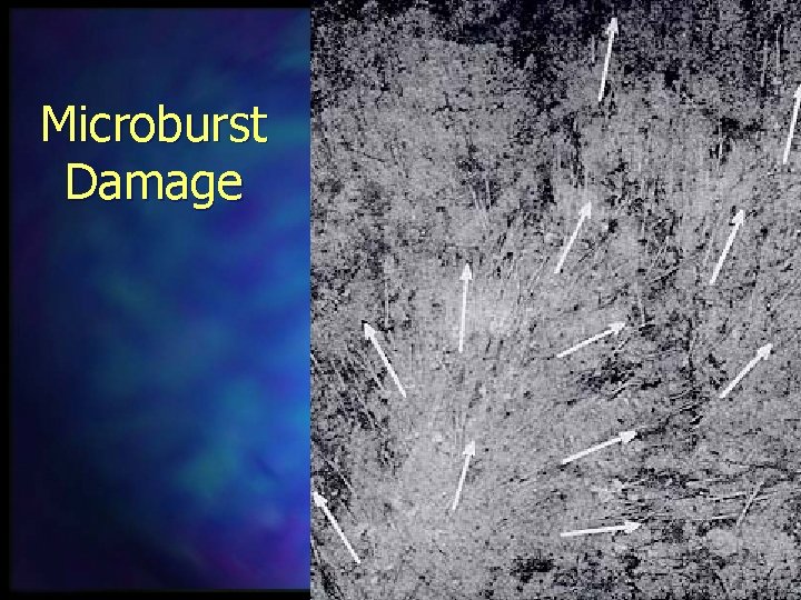 Microburst Damage 