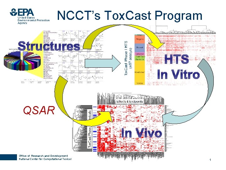 NCCT’s Tox. Cast Program Structures HTS In Vitro QSAR In Vivo Office of Research