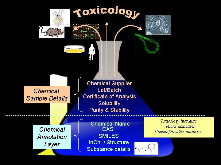 Gene-expression Chemical Sample Details Chemical Annotation Layer Chemical Supplier Lot/Batch Certificate of Analysis Solubility