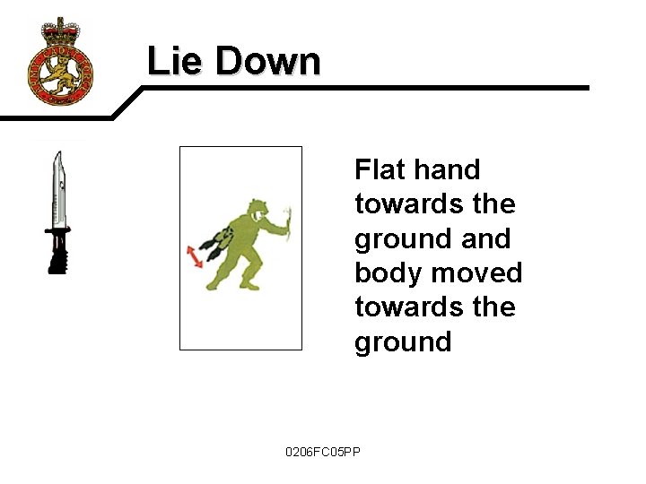 Lie Down Flat hand towards the ground and body moved towards the ground 0206