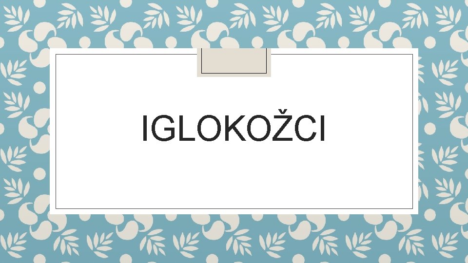 IGLOKOŽCI 