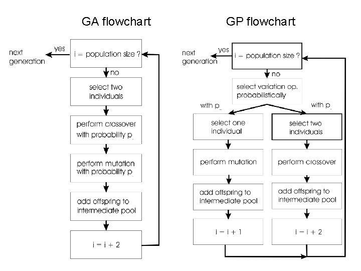 GA flowchart GP flowchart Doug Downey, adapted from Bryan Pardo, Machine Learning EECS 349