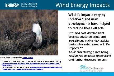 Wildlife impacts vary by location, * and new developments have helped to reduce these