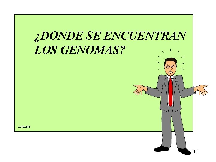 ¿DONDE SE ENCUENTRAN LOS GENOMAS? J. Coll, 2000 14 ¿DONDE SE ENCUENTRAN LOS GENOMAS? J. Coll, 2000 14