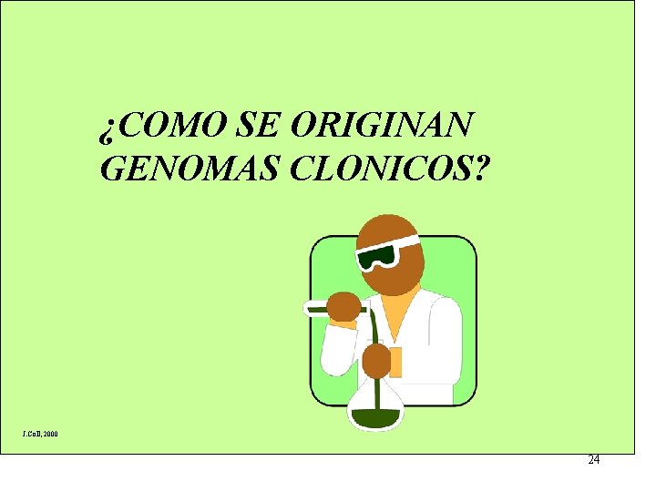 ¿COMO SE ORIGINAN GENOMAS CLONICOS? J. Coll, 2000 24 ¿COMO SE ORIGINAN GENOMAS CLONICOS? J. Coll, 2000 24