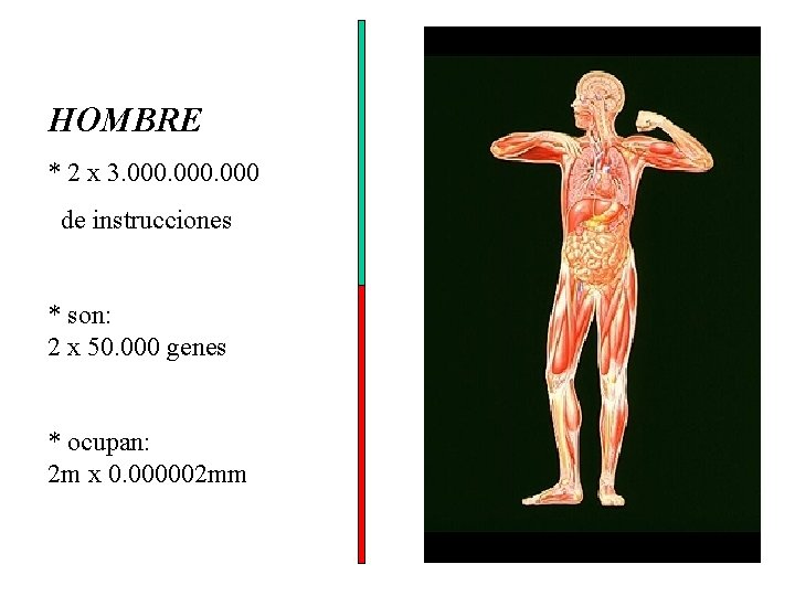HOMBRE * 2 x 3. 000 de instrucciones * son: 2 x 50. 000 HOMBRE * 2 x 3. 000 de instrucciones * son: 2 x 50. 000