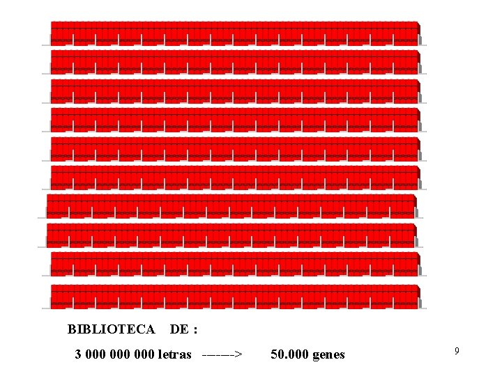 BIBLIOTECA DE : 3 000 000 letras -------> 50. 000 genes 9 BIBLIOTECA DE : 3 000 000 letras -------> 50. 000 genes 9