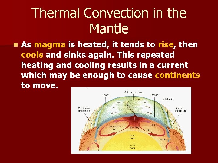 Thermal Convection in the Mantle n As magma is heated, it tends to rise,