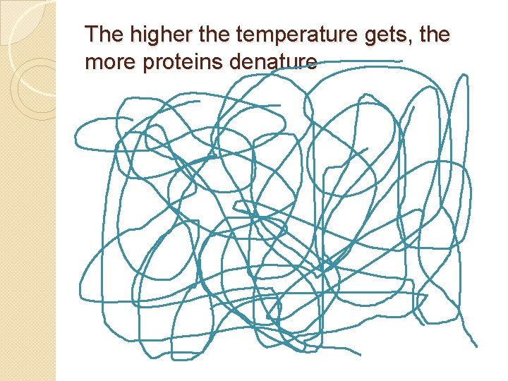 The higher the temperature gets, the more proteins denature 