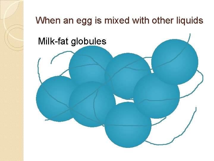 When an egg is mixed with other liquids Milk-fat globules 