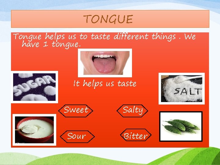 TONGUE Tongue helps us to taste different things. We have 1 tongue. It helps