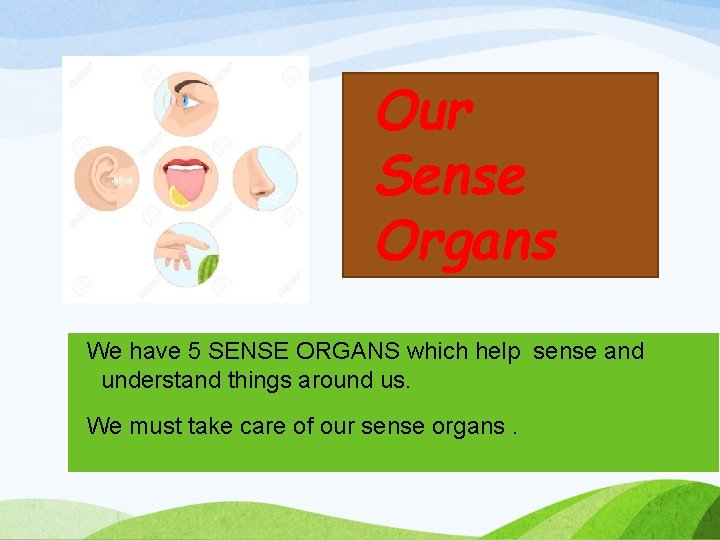 Our Sense Organs We have 5 SENSE ORGANS which help sense and understand things