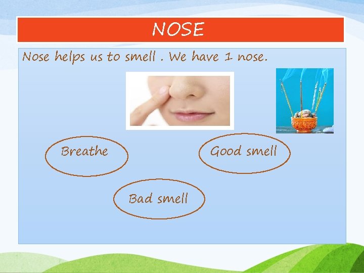 NOSE Nose helps us to smell. We have 1 nose. Breathe Good smell Bad
