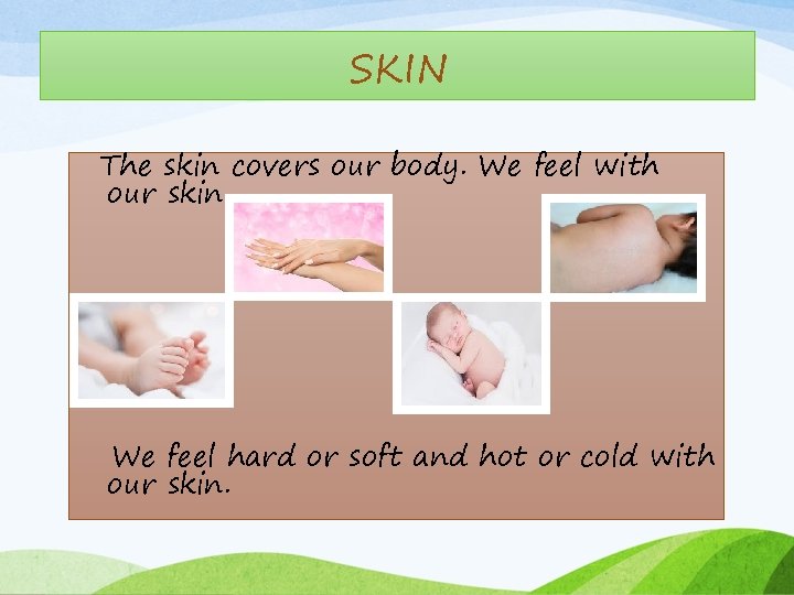 SKIN The skin covers our body. We feel with our skin. We feel hard