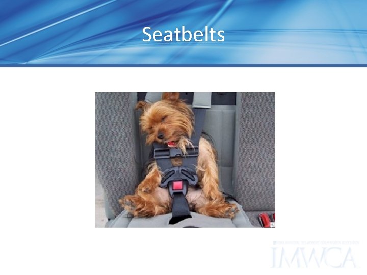Seatbelts 