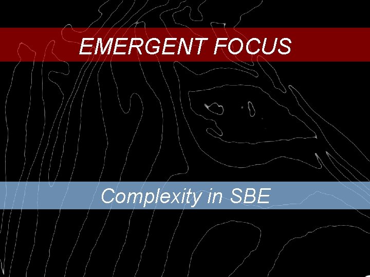 EMERGENT FOCUS Complexity in SBE 