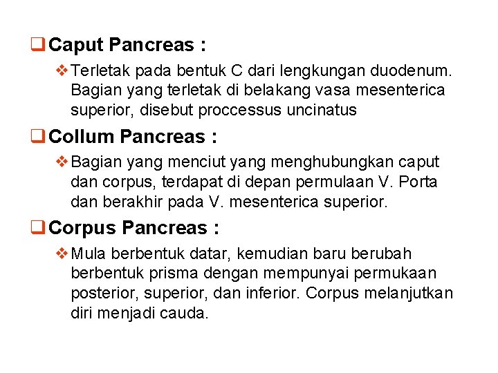 q Caput Pancreas : v. Terletak pada bentuk C dari lengkungan duodenum. Bagian yang