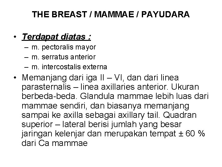 THE BREAST / MAMMAE / PAYUDARA • Terdapat diatas : – m. pectoralis mayor