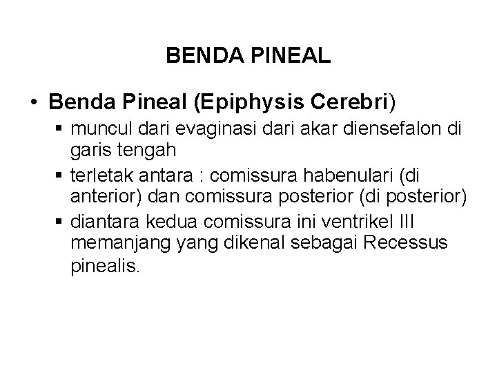 BENDA PINEAL • Benda Pineal (Epiphysis Cerebri) § muncul dari evaginasi dari akar diensefalon