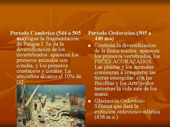 Período Cámbrico (544 a 505 Período Ordovícico (505 a ma)Sigue la fragmentación 440 ma)